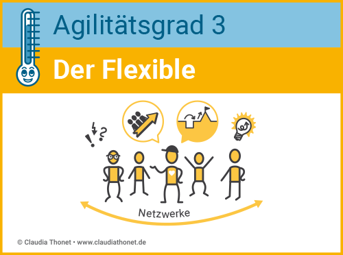 Agilitätsgrad 3, Führungstyp, Der Flexible